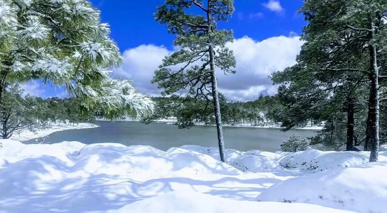 Lago de Arareko - Espejo de Agua